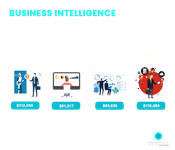 Business Intelligence career prospects