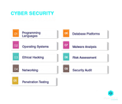 cyber security engineer skills